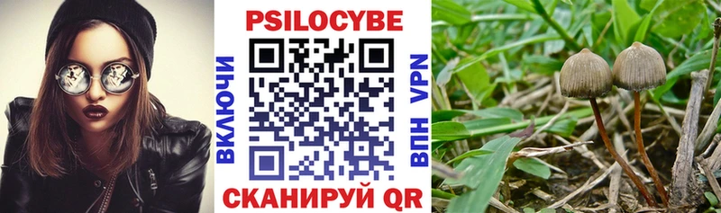 где купить наркоту  Советский  Галлюциногенные грибы Magic Shrooms 